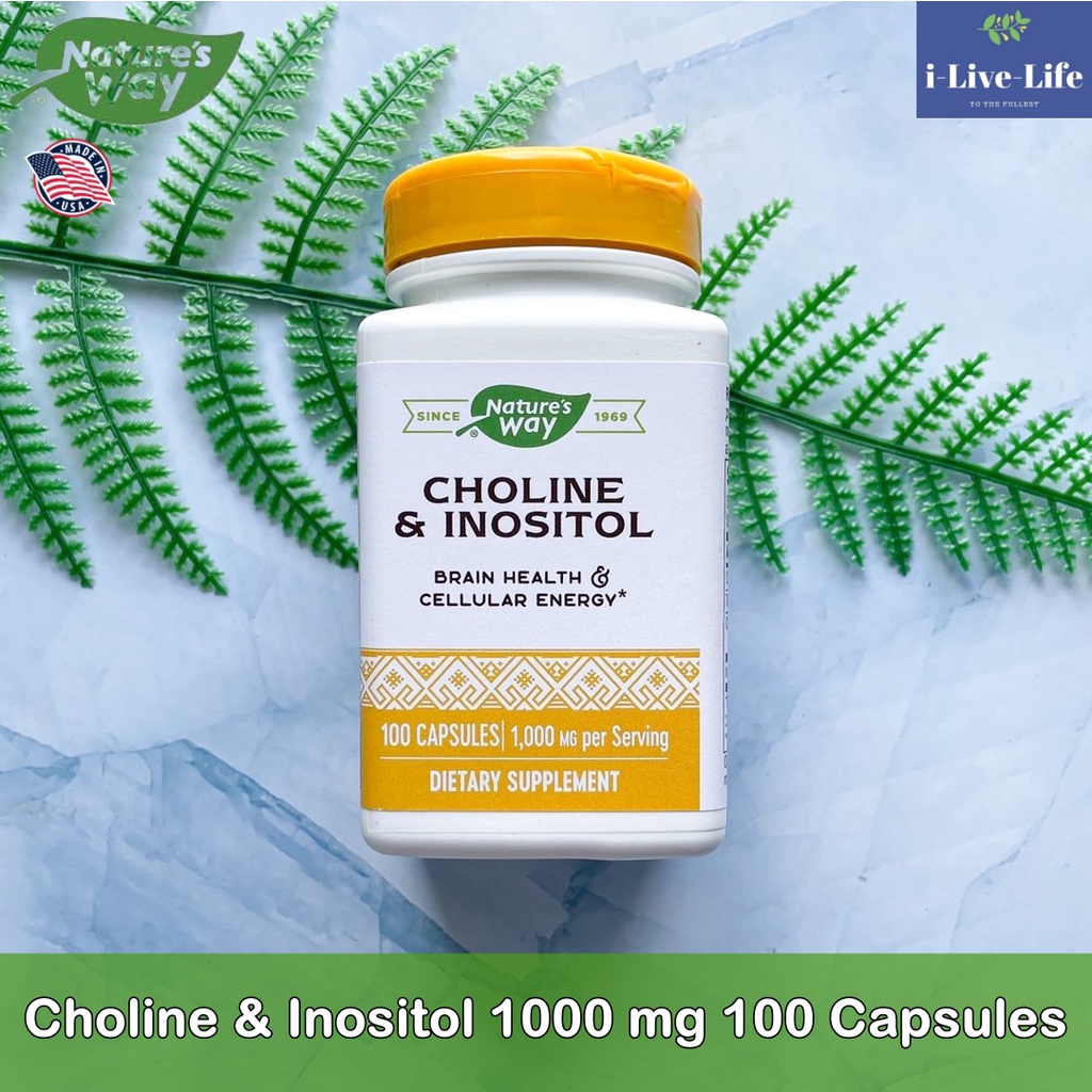 โคลีน และ อิโนซิทอล Choline & Inositol 1000 mg 100 Capsules - Nature's ...