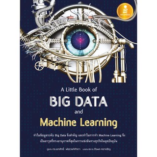 หนังสือ A Little Book of Big Data and Machine Learning