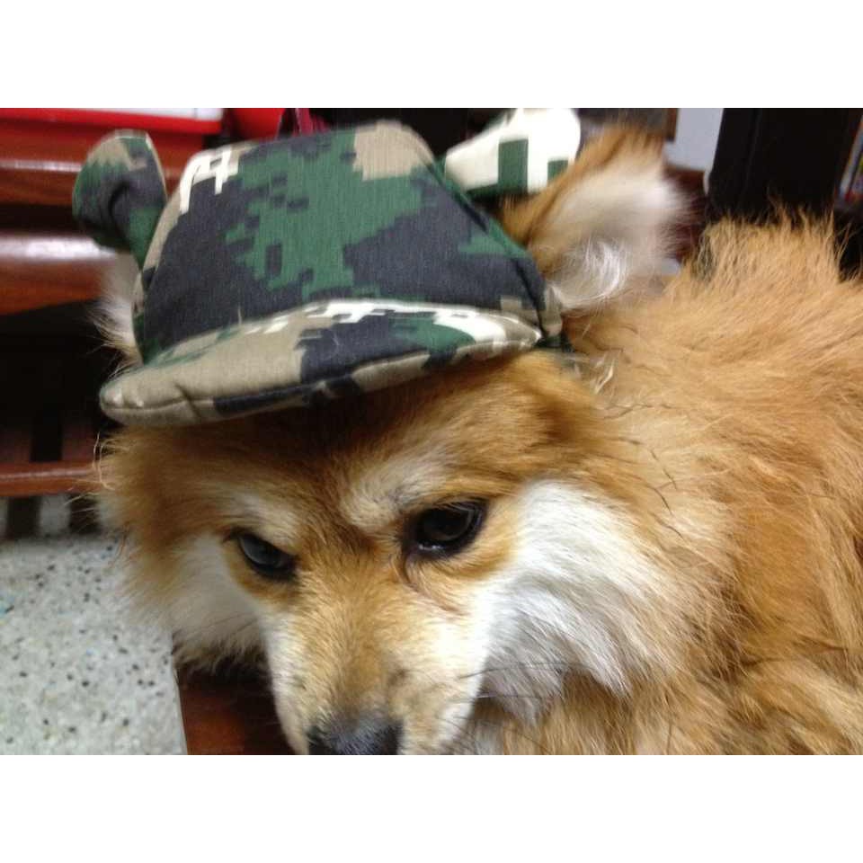 dogacat-หมวกสุนัข-หมาและแมว-หมวกมีหู-ลายทหาร-สีเขียว