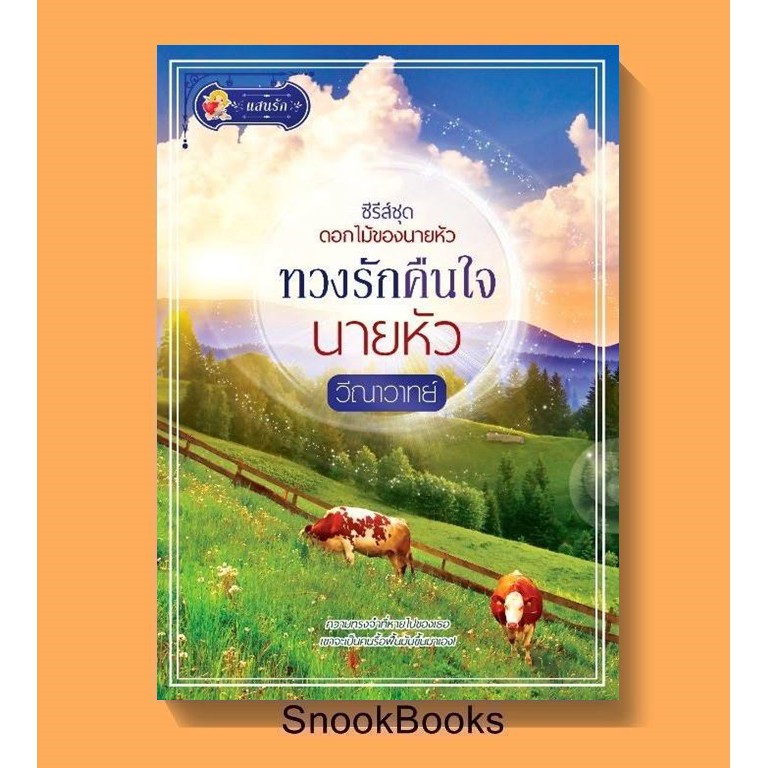 นิยาย-ทวงรักคืนใจนายหัว-โดย-วีณาวาทย์