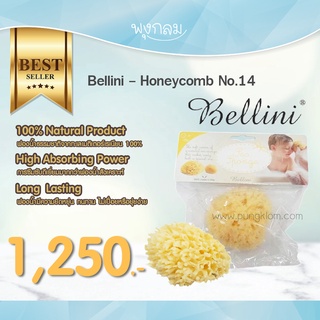 ภาพหน้าปกสินค้าBellini ฟองน้ำธรรมชาติแท้ Honeycomb เบอร์ 14 ที่เกี่ยวข้อง