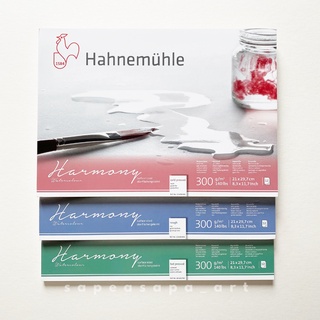 ภาพหน้าปกสินค้ากระดาษสีน้ำ Hahnemuhle รุ่น Harmony 300 แกรม ขนาด A4 ที่เกี่ยวข้อง