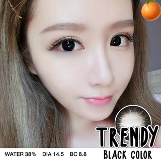 Trendy Black (1)(2) บิ๊กอาย สีดำ contact lens Bigeyes คอนแทคเลนส์ ค่าสายตา สายตาสั้น -0.50 แฟชั่น ตาโต โทนแบ๊ว ตากลมโต