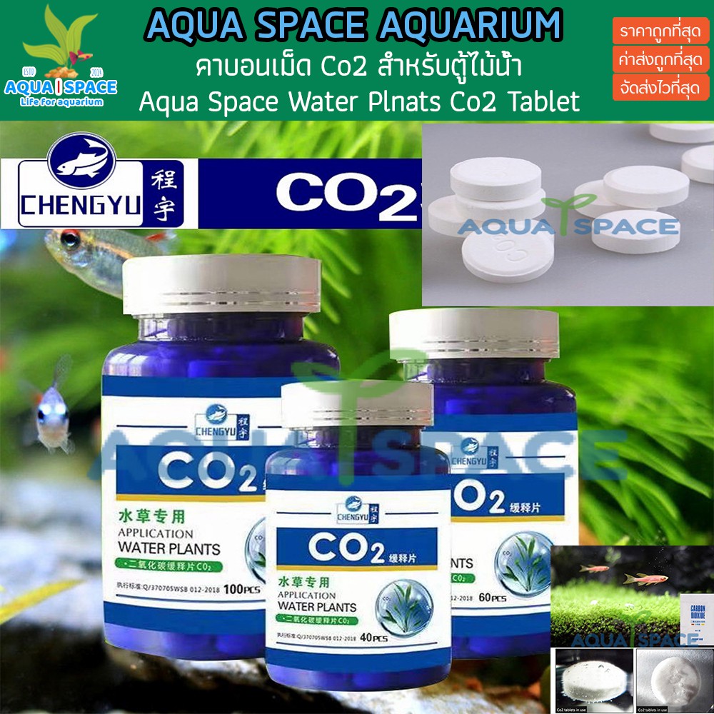 คาบอนเม็ด-co2-tablet-สำหรับสร้างคาบอนไดออกไซด์ในน้ำ-ขนาด-60-เม็ด-สำหรับตู้เลี้ยงไม้น้ำ-พรรณไม้น้ำ-ตู้ปลา