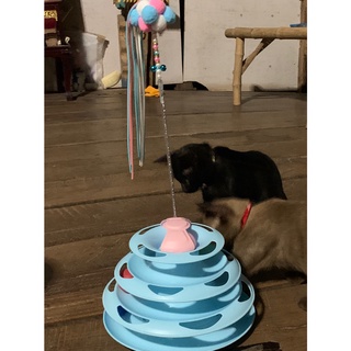 ภาพขนาดย่อของภาพหน้าปกสินค้า️รางบอลแมว4ชั้น ของเล่นแมว รางบอลแมว รางบอล4ชั้น ️ จากร้าน ratimapeem บน Shopee ภาพที่ 8