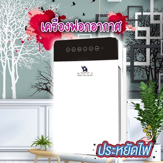 Air Purifier 30