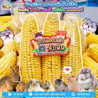 (BP Pets)ขนมหนูแฮมเตอร์ ขนมกระต่าย ข้าวโพดลับฟัน ของเล่นลับฟัน ข้าวโพดฝัก เซตลับฟัน ไว้ลับฟันหนูแฮมสเตอร์และสัตวและขนาดเ