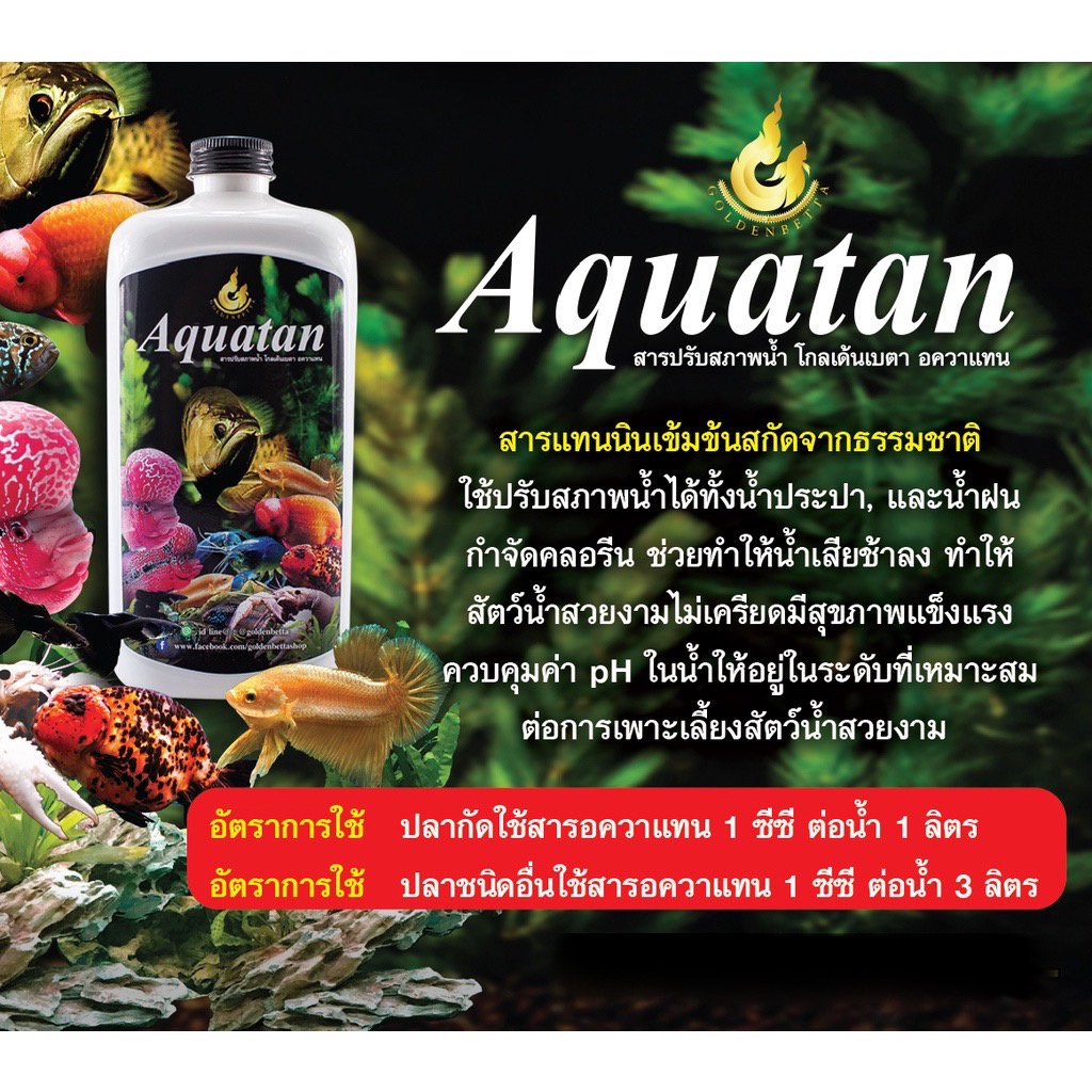 goldenbetta-aquatan-สารเสริมประสิทธิ์ภาพน้ำ-แทนนินสกัดจากธรรมชาติ-100