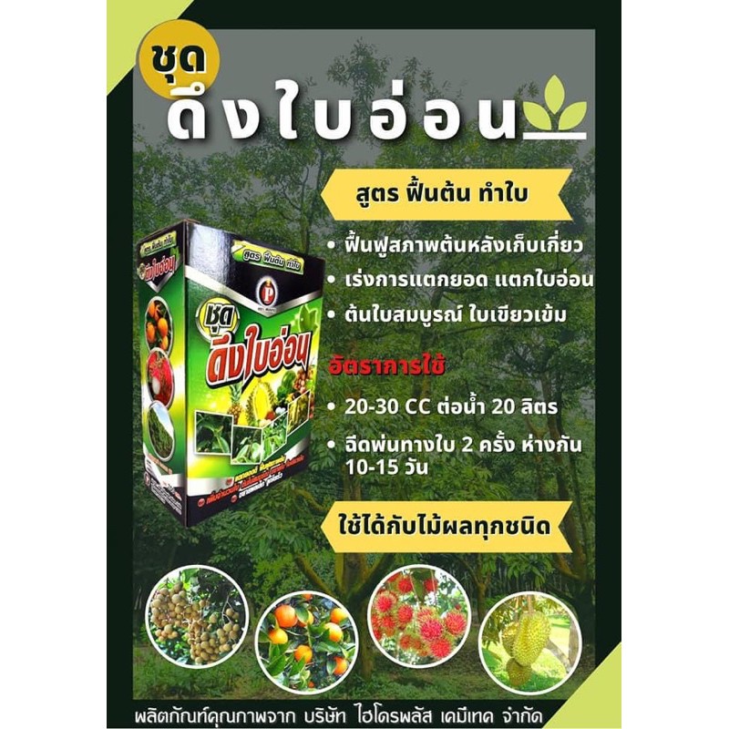 ชุดฮอร์โมนกล่อง-5-เสต็ป-สะสมดอก-ดึงใบ-เปิดตาดอก-บำรุงลูก-1-ลิตรx2-ขวด