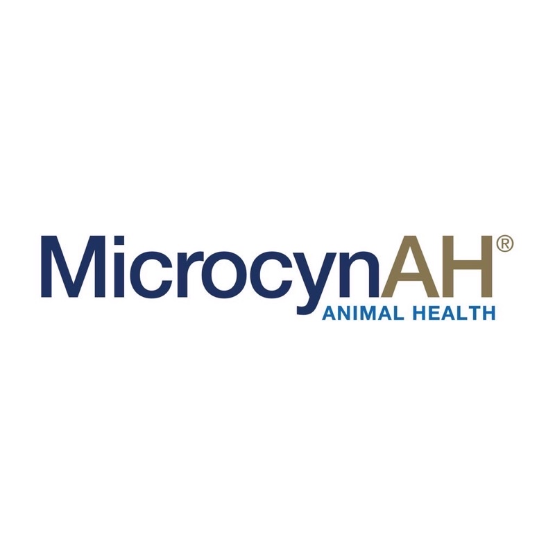 ส่งฟรี-microcynah-eye-care-gel-120-ml-บำรุงทำความสะอาดผิวหนังรอบดวงตา-เปลือกตา-และชะล้างแผล-ทำความสะอาดตาสุนัขและแมว