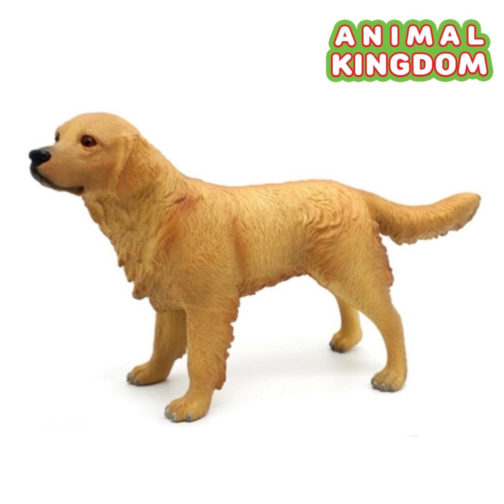 animal-kingdom-โมเดลสัตว์-สุนัข-หมาโกลเด้น-แบบนิ่ม-ขนาด-35-00-cm-จากหาดใหญ่