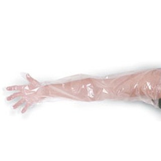 ภาพขนาดย่อของสินค้าถุงมือพลาสติก ยาวถึงหัวไหล่ LDPE Disposable Long Glove