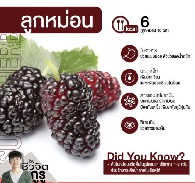 6ขวด-น้ำมัลเบอร์รี่-สกัดเข้มข้น-ลูกหม่อน-มัลเบอร์รี่-boostberry-mulbery-juice