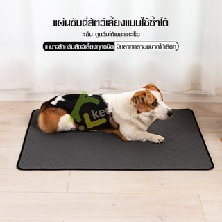 แผ่นรองฉี่ 4 ชั้น แผ่นซับฉี่ แผ่นรองซับ แบบซักได้ Dog pee pads แผ่นรองฉี่สัตว์เลี้ยง ที่รองซับปัสสาวะ ดูดซับน้ำได้ดี