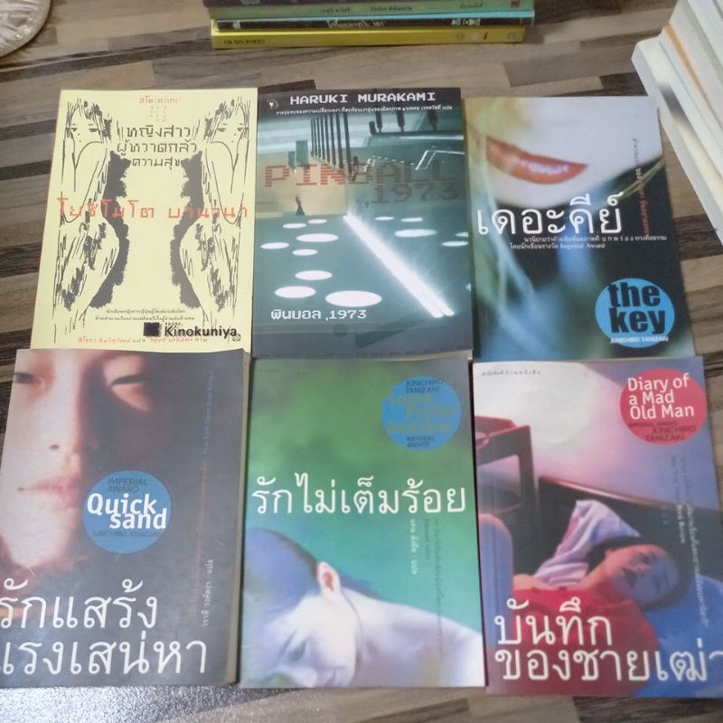 หนังสือวรรณกรรมญี่ปุ่นแปล-หลากหลายเรื่องราว-อาทิเช่น-เดอะคีย์-หญิงสาวผู้หวาดกลัวความสุข-บันทึกของชายเฒ่า-รักไม่เต็มร้อย