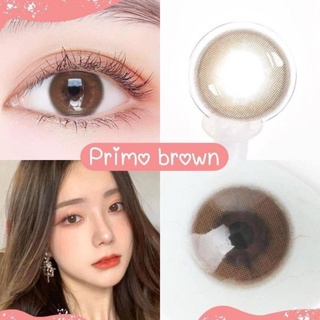 คอนแทคเลนส์ รุ่น Mini Primo มีสีเทา/ตาล Gray/Brown By Kitty Kawaii มีค่าสายตา(0.00)-(-10.00)