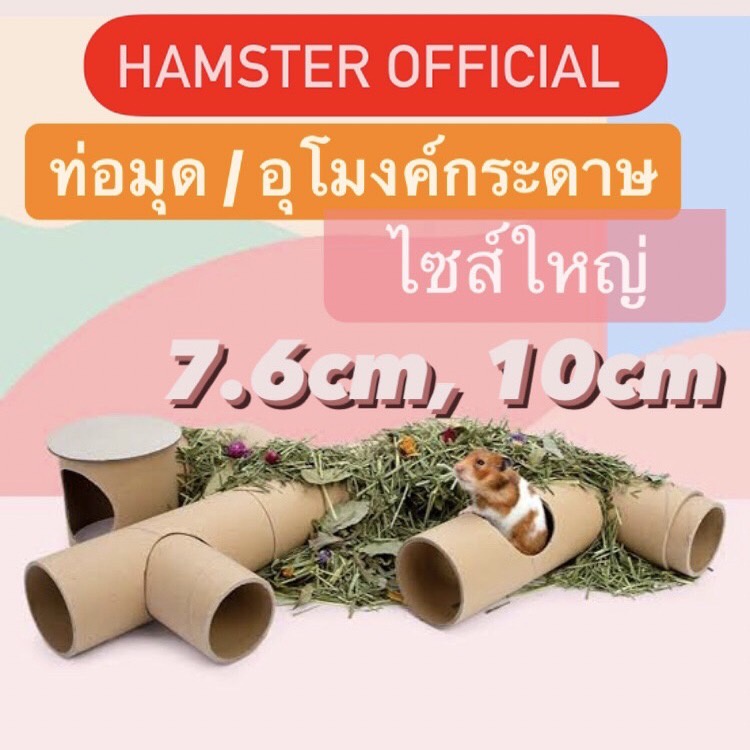 ภาพหน้าปกสินค้าพร้อมส่ง ท่อวิ่ง อุโมงค์กระดาษ ราคาประหยัด แฮมสเตอร์ ชูก้าร์ ดอร์เมาส์ เม่นแคระ สัตว์เล็ก Hamster Official tunnel toy