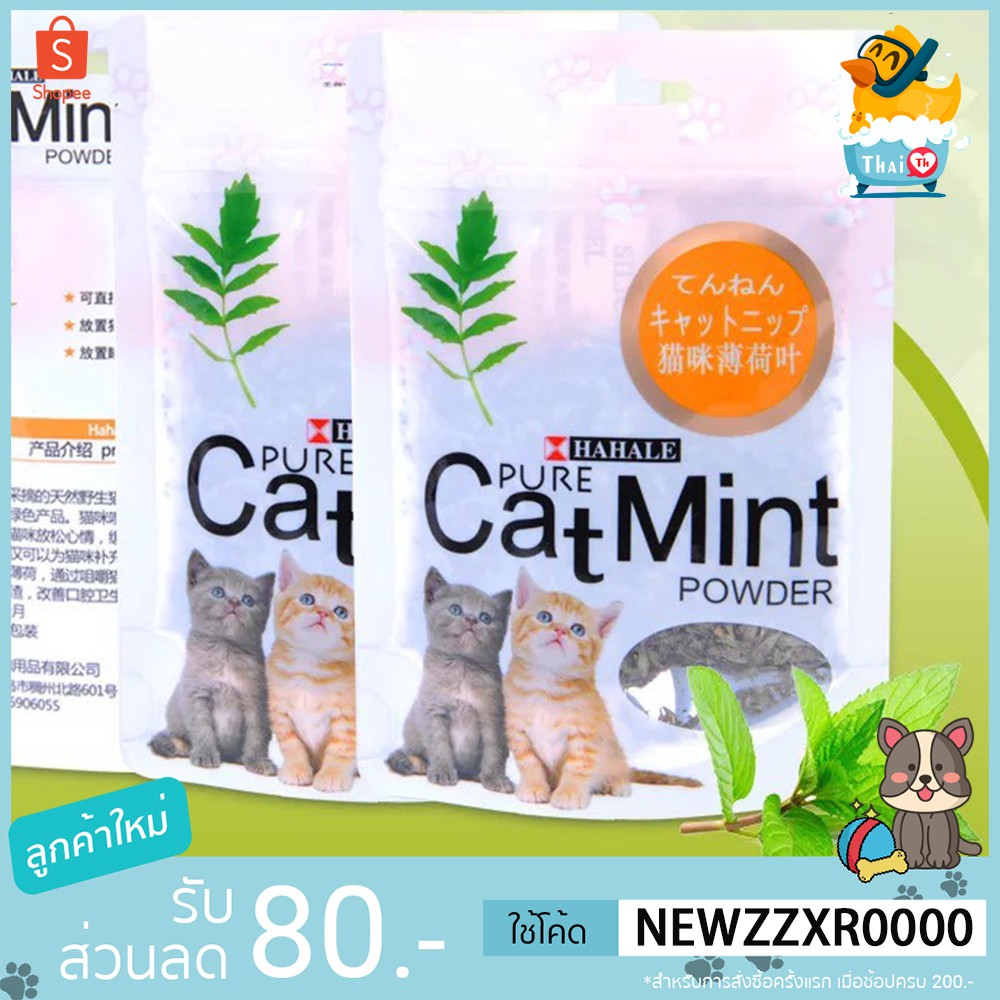 ภาพหน้าปกสินค้าThai .th หญ้าชนิดหนึ่งสำหรับแมวราคาถูก แคปนิท กัญชาแมว Cat Mint XJ99 XJ77(มีราคาส่ง)