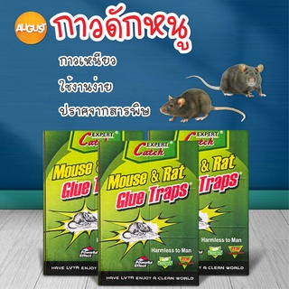 พร้อมส่งaugustthailand/ กาวดักหนู เหนียวหนึบพิเศษ ติดทน ไม่ไหลเยิ้ม ใช้ง่าย สะดวก ปลอดสารพิษ ขนาดใหญ่ 155 กรัม