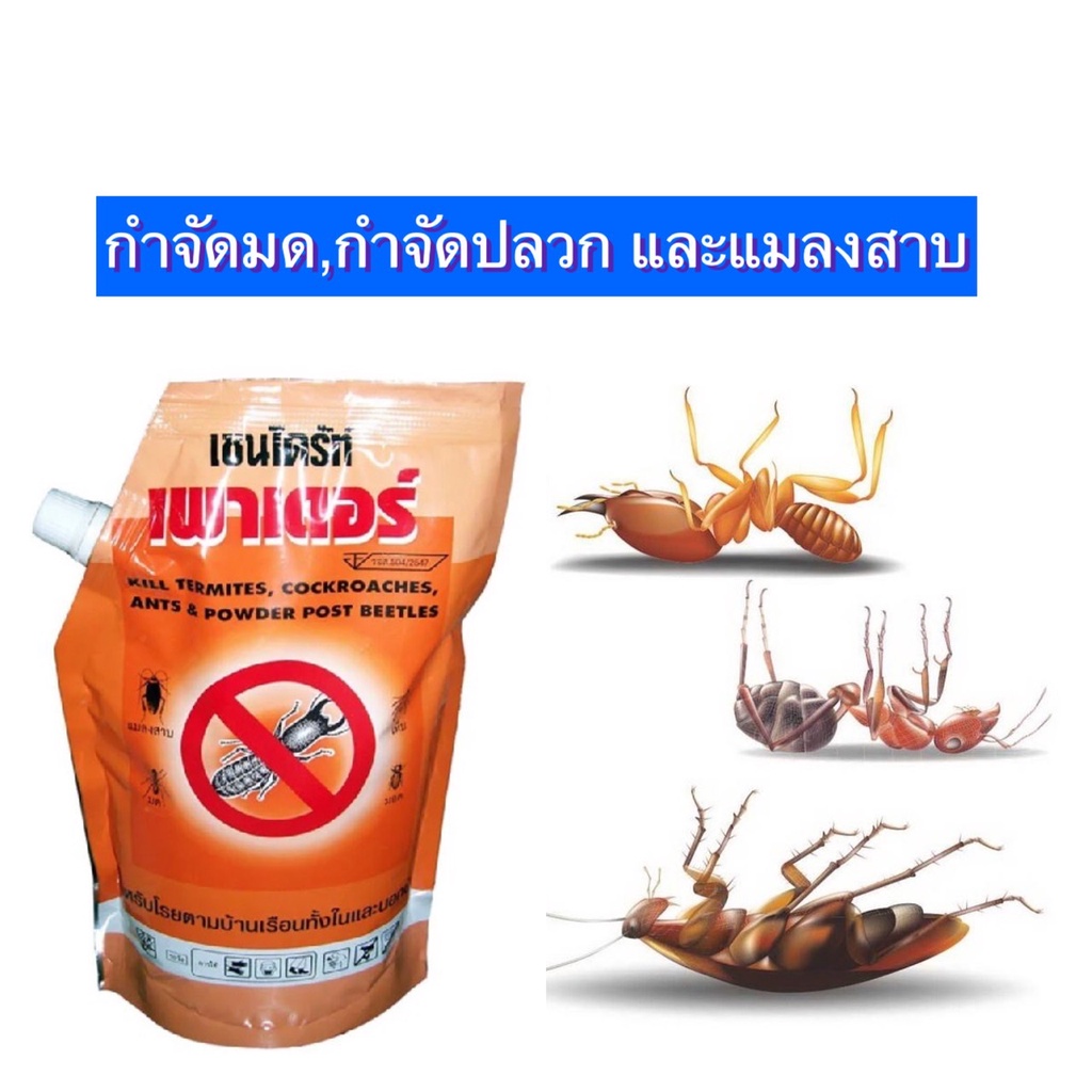 tha-shop-500-กx-1-chaindrite-powder-เชนไดร้ท์-เพาเดอร์-ผงกำจัดแมลง-ผงกำจัดปลวก-ผงโรยกำจัดปลวก-ผงกำจัดมด-ผงกำจัดแมลงสาบ