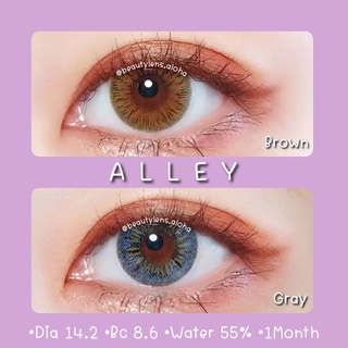 💜Alley-Brown•Gray☆สายตา 00-700☆รายเดือน