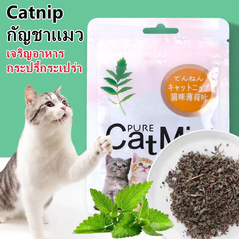 พร้อมส่ง-อาหารแมว-catnip-กัญชาแมว-ช่วยขับถ่ายขน-ช่วยระบบเผาผลาน-เจริญอาหาร-กระปรี้กระเปร่า-5-กรัม-ถุง