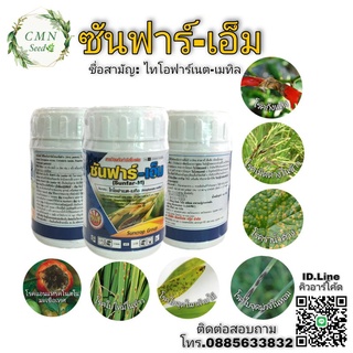 ซันฟาร์-เอ็ม ชื้อสามัญ.ไทโอฟาเนต-เมทิล