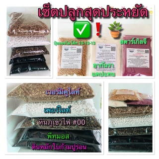 เช็ตปลูกราคาประหยัดดิน+หินภูเขาไฟ+พีทมอส+เวอร์มิคูไลท์+เพอร์ไลท์