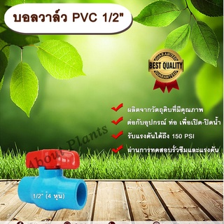 บอลวาล์ว PVC 1/2” (4 หุน)  ประตูเปิดปิดน้ำ บอลวาล์วพีวีซี แบบสวม Ball Valve ร้านallaboutplants