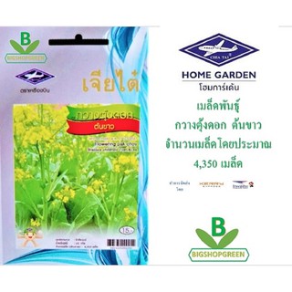 5 ฟรี 1 คละได้ เมล็ดพันธุ์ กวางตุ้ง ดอกต้นขาว เจียไต๋ เมล็ดพันธุ์ผัก เมล็ดผัก เมล็ดพันธุ์พืช เมล็ดพืช