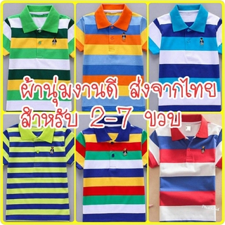 เสื้อคอปกเด็ก ผ้านุ่ม งานดี ส่งในไทย