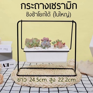 กระถางเซรามิก ชิงช้า โยกได้ กระถางแคคตัส