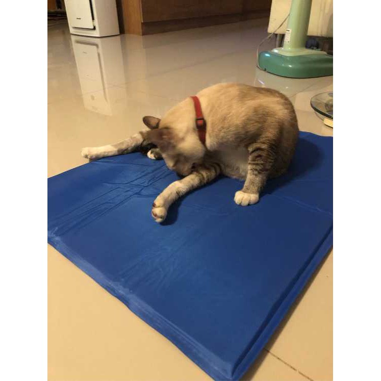pet-cool-mat-แผ่นเจลรองนอนหมา-แผ่นเจลเย็นสุนัข-ที่นอนเจลเย็นสำหรับสุนัข-size-s-30-40-cm