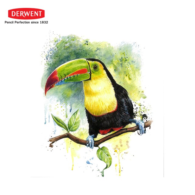 derwent-สีไม้ระบายน้ำชุด-derwent-48-สี-w-collection-watercolour-48-colours