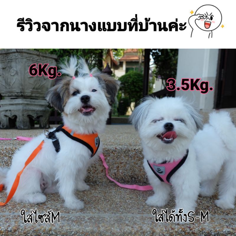ภาพสินค้าพร้อมส่งในไทย เสื้อจูงสุนัข เสื้อจูงแมว สายจูง สายรัดอก เสื้อจูงสัตว์เลี้ยง จากร้าน tm.online บน Shopee ภาพที่ 3