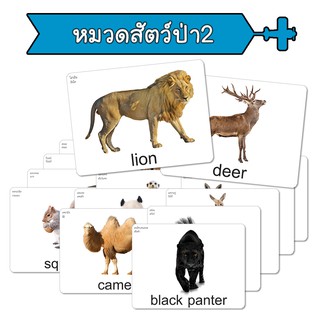 ภาพหน้าปกสินค้าแฟลชการ์ด หมวดสัตว์ป่า2 บัตรคำ แนวการสอนเดียวกับ ชิจิดะ เฮกุรุ บัตรคำศัพท์  Flashcard ที่เกี่ยวข้อง