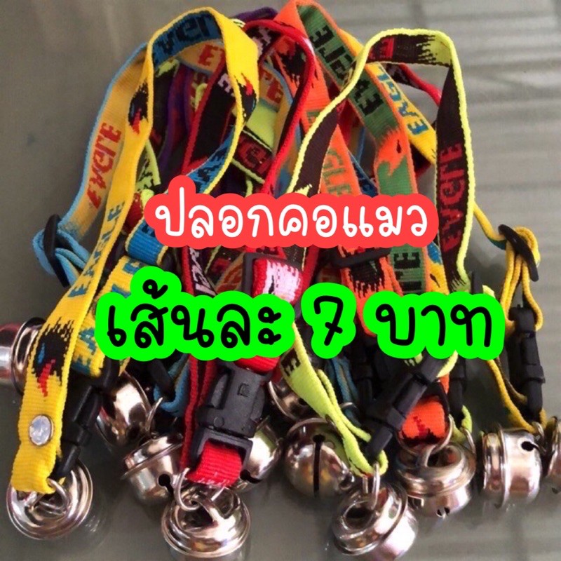 ปลอกคอแมว-เส้นละ7-บาท