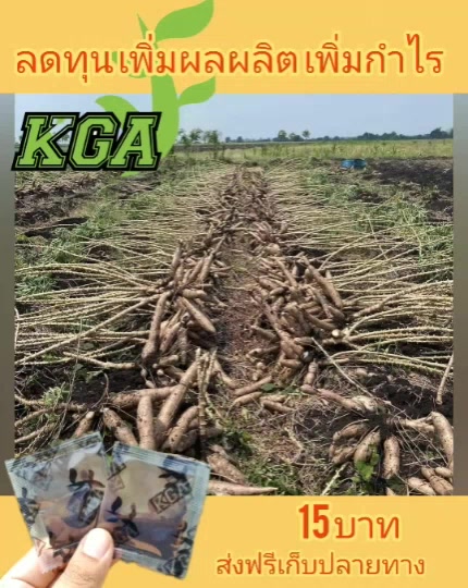 ผงดำ-kga-เป็นสารเสริมประสิทธิภาพปุ๋ยกึ่งฮอร์โมน