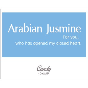 ขนาด-100-ml-เทียนหอม-กลิ่น-อาราเบียนจัสมิน-soy-candle-arabian-jusmine-เทียนหอมไขถั่วเหลือง-ของขวัญให้คนที่คุณรัก