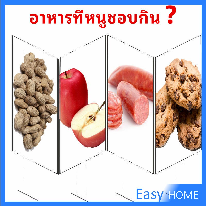 กับดักหนู-ใช้ซ้ำได้-กับดักหนู-กับดักหนูสปริง-ความไวสูง-mouse-traps