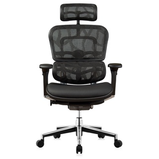DF Prochair | เก้าอี้เพื่อสุขภาพ รุ่น Ergo2 ML