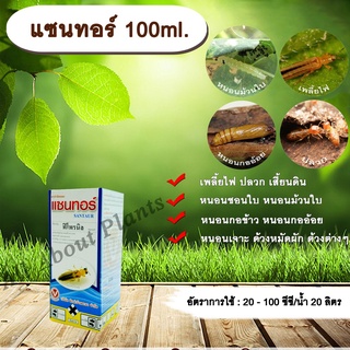 แซนทอร์ 100ml. ฟิโพรนิล สารกำจัดแมลง เพลี้ยไฟ ปลวก หนอนชอนใบ หนอนม้วนใบ หนอนกอข้าว หนอนเจาะ ด้วง allaboutplants