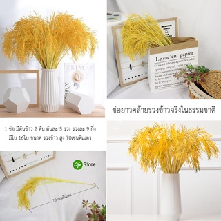 ภาพขนาดย่อของภาพหน้าปกสินค้ารวงข้าวสีทองและต้นไม้ประดับตกแต่ง แบบต่างๆ จากร้าน lifestore2 บน Shopee ภาพที่ 6