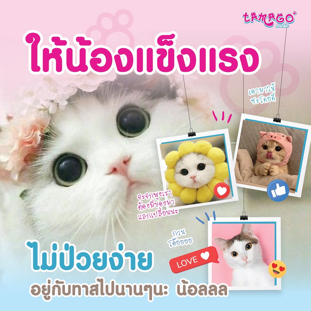 tamago-mouzze-ทามาโกะ-มูซ-ขนมแมวเลีย-หมาเลีย-สำหรับสัตว์พักฟื้น-เบื่ออาหาร-ป่วย-โปรตีนสูง-ทำจากไข่ขาว