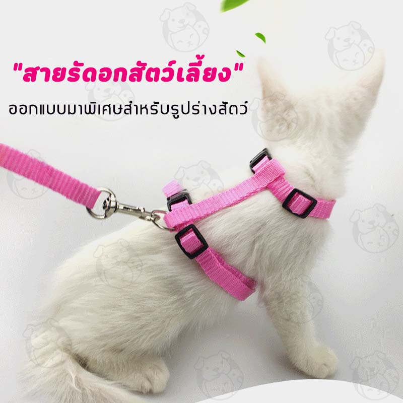 สายจูงรัดอก-สายจูงแมว-สายจูงสุนัข-สายรัดอกสัตว์เลียง-สายจูงสัตว์เลียง-สายจูงกระต่าย-สายจูงสองวรรค