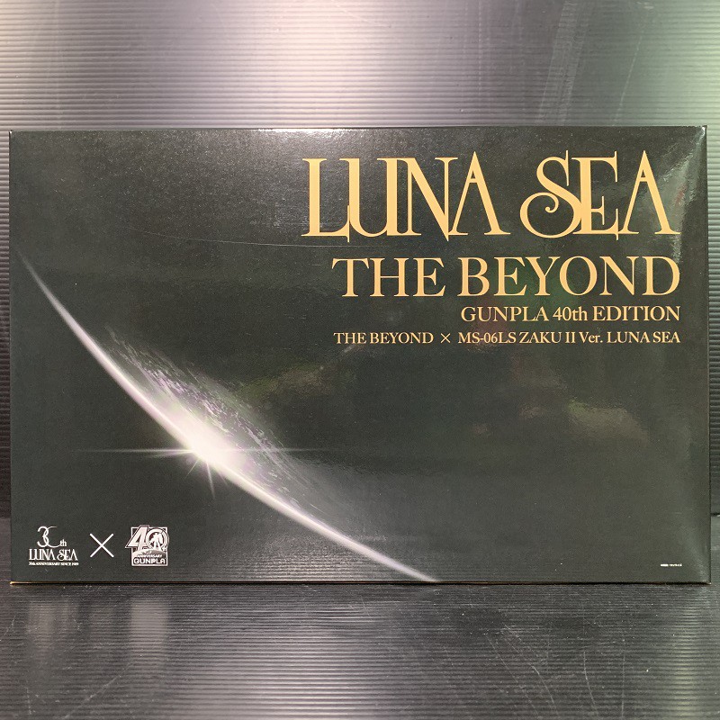 Luna Sea The Beyond Gunpla 40th Edition The Beyond x MG 1