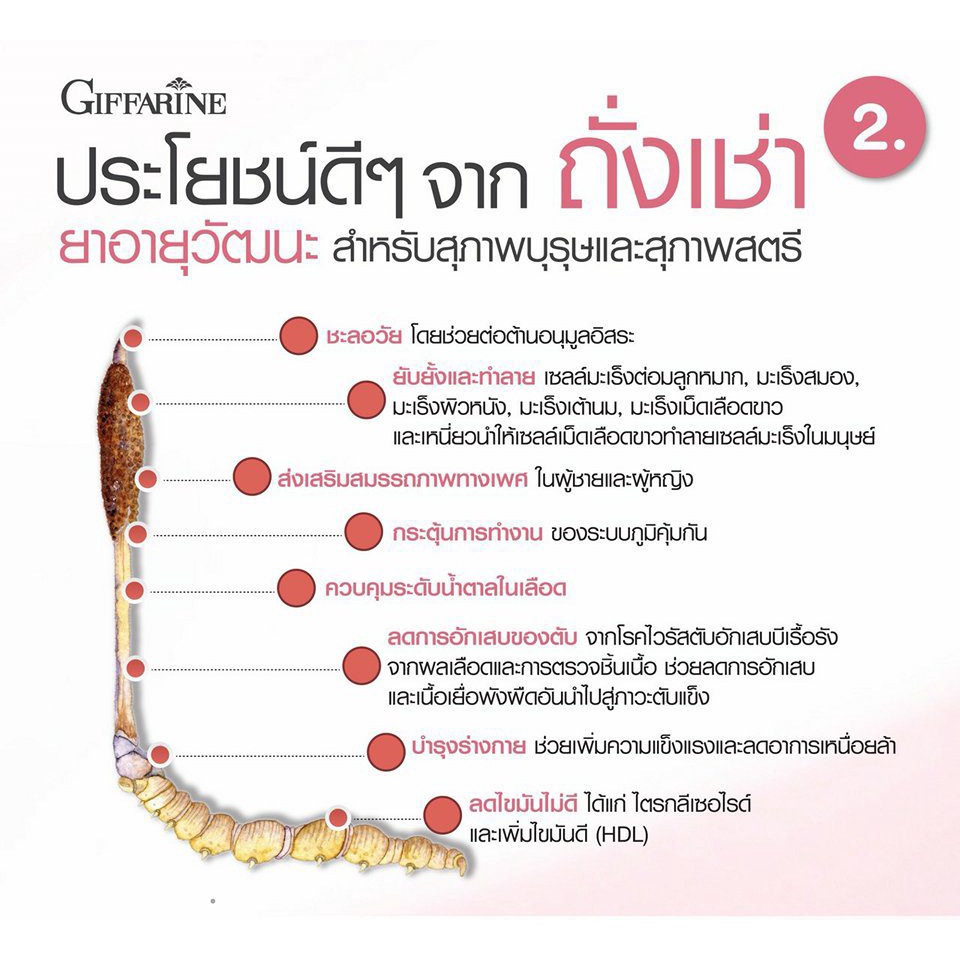 ถั่งเช่า-สำหรับผู้หญิง-ดับเบิ้ลยู-w-ถั่งเช่าสำหรับผู้หญิง-สูตรสำหรับ-บำรุงร่างกาย-ผิวสวย