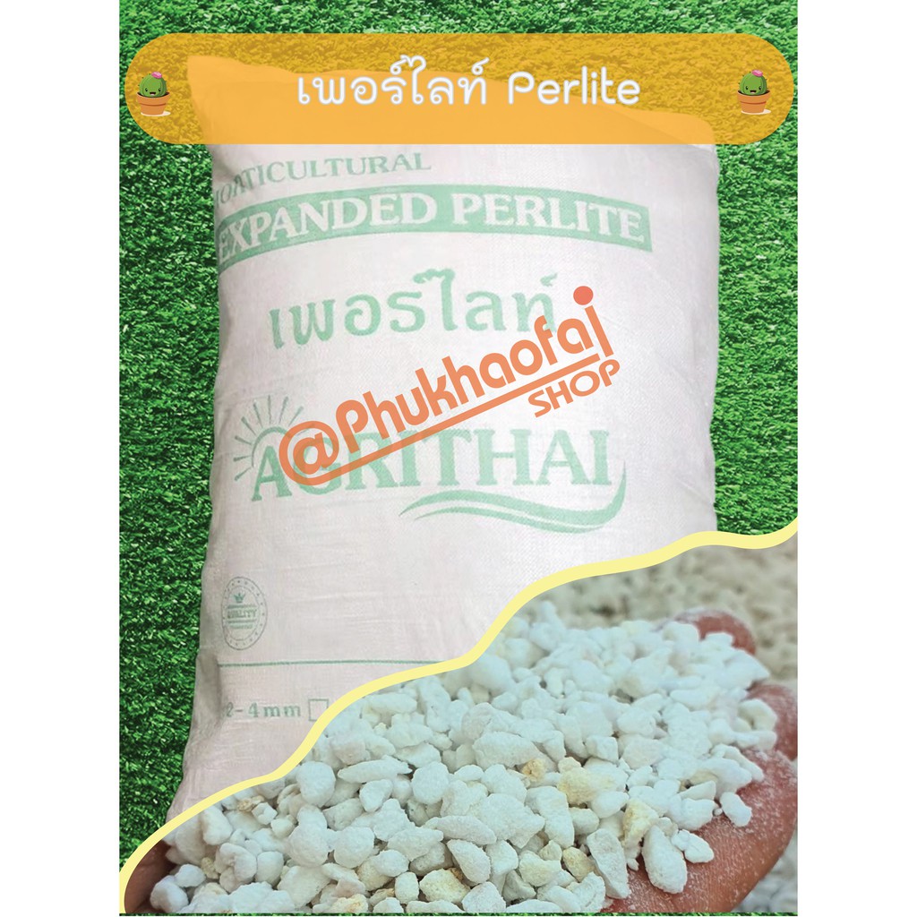 เพอร์ไลท์-perlite-50-ลิตร-สินค้านำเข้า-เกรดพรีเมี่ยม-ขนาด-3-6mm