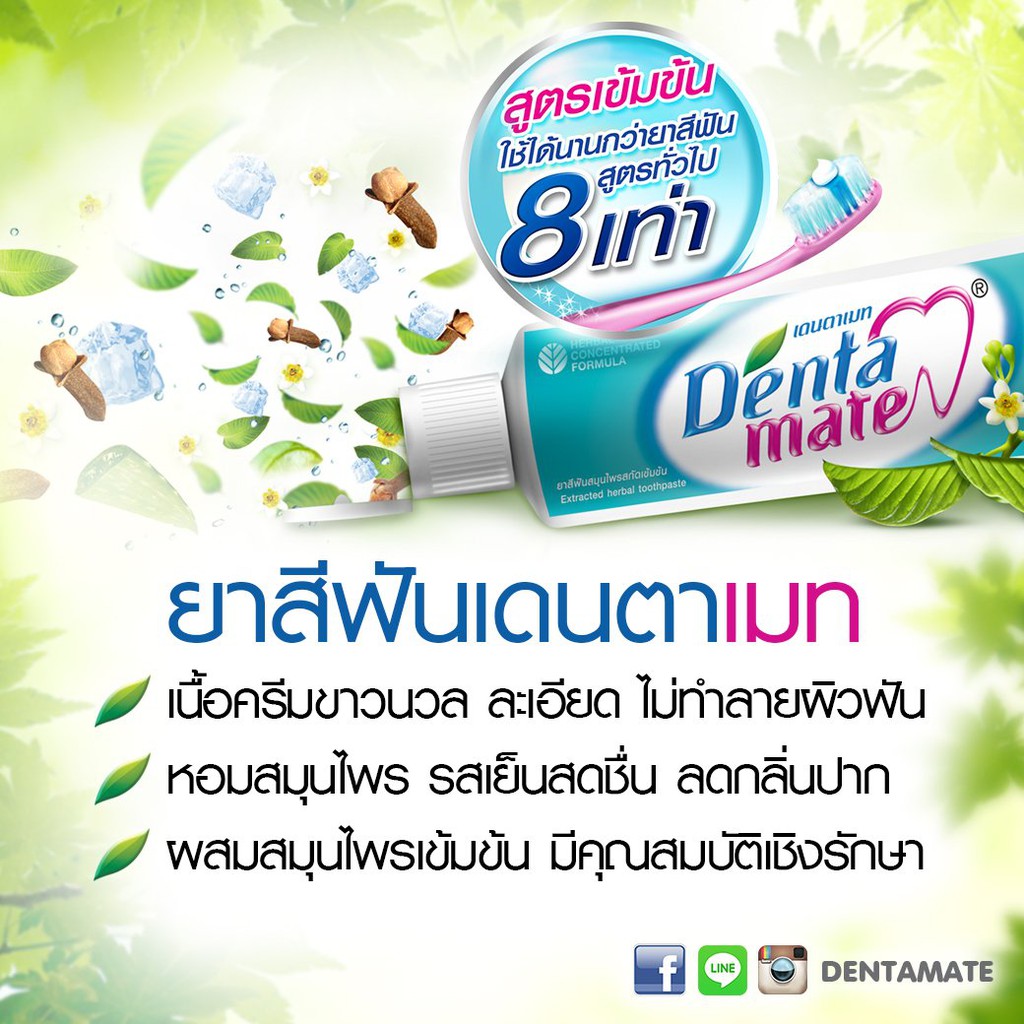 เดนตาเมท-ยาสีฟันสมุนไพร-สูตรเข้มข้น-dentamate-herbal-toothpaste