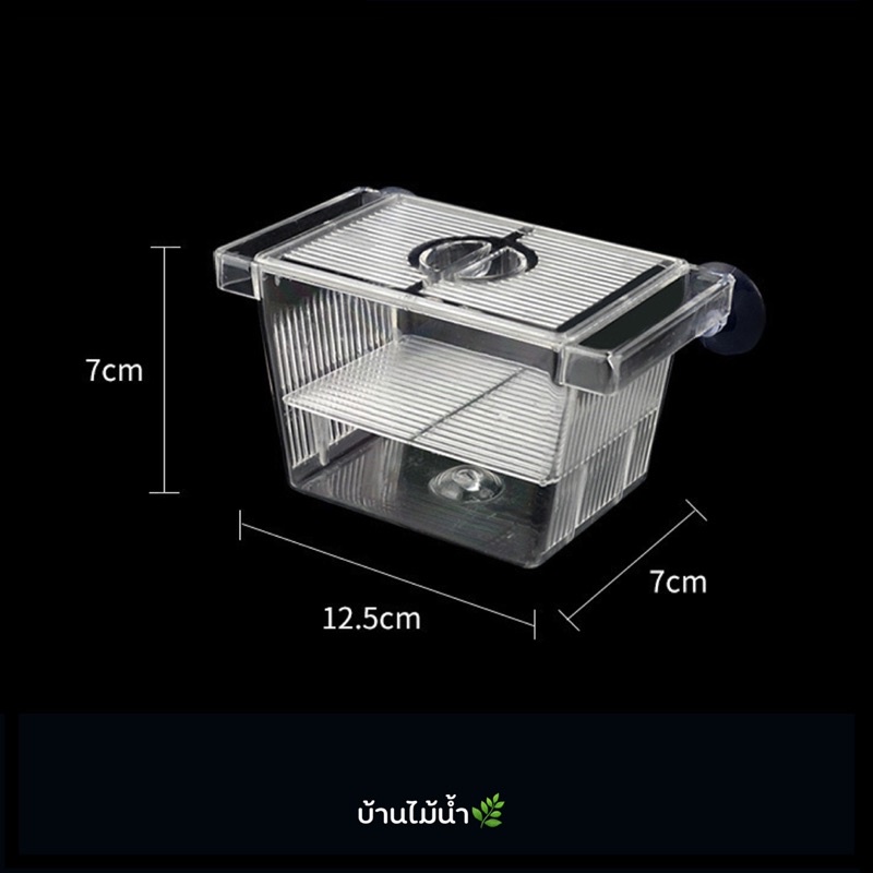 กล่องแยกปลาคลอดลูก-แยกได้-2-ช่อง-บน-ล่าง-แยกลูกปลากับแม่ปลาที่เพิ่งคลอด-แยกลูกกุ้ง-และแยกปลาที่กำลังป่วย-บ้านไม้น้ำ